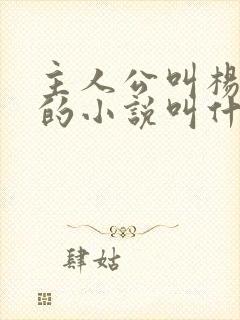 主人公叫杨小天的小说叫什么名字