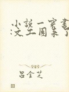 小说一穿书七零:文工团来了个大美人