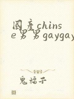 国产chinse男男gaygay网站