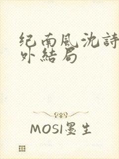 纪南风沈诗澜番外结局封面