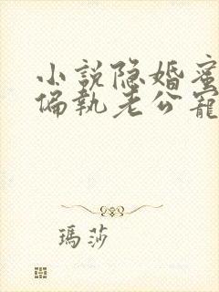 小说隐婚蜜爱:偏执老公宠上瘾在线阅读