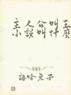 主人公叫王峰的小说叫什么名字