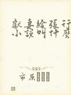 献妻给张行原著小说叫什么名字封面