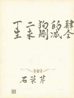 丁二狗的肆意人生未删减全文阅读