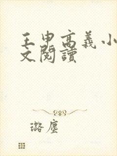 王申高义小说全文阅读