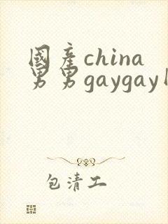 国产china男男gaygay网站