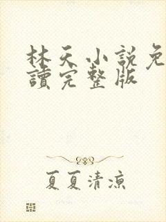 林天小说免费阅读完整版