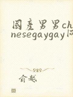 国产男男chinesegaygay网站