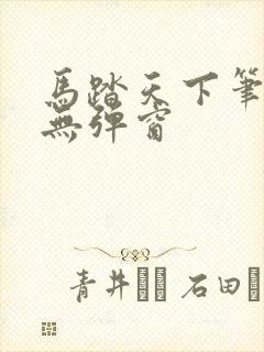 马踏天下笔趣阁无弹窗