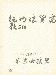 纯肉浪货高h调教sm