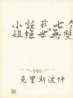 小说 我七个姐姐绝世无双封面