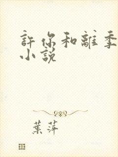 许你和离季含漪小说