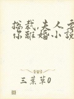 总裁,夫人要和你离婚小说免费阅读封面