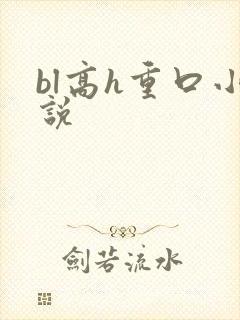 bl高h重口小说