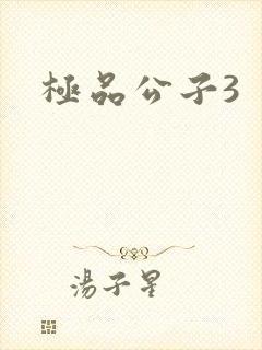 极品公子3