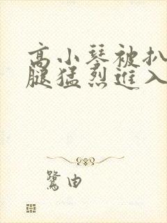 高小琴被扒开双腿猛烈进入小说