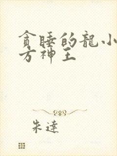 贪睡的龙小说十方神王