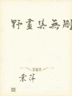 野画集无删减