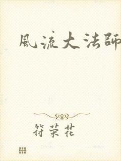 风流大法师封面