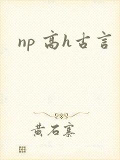 np 高h古言封面