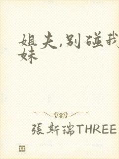 姐夫,别碰我妹妹封面