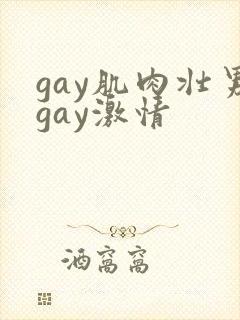 gay肌肉壮男gay激情
