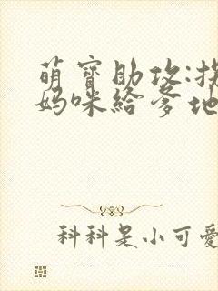 萌宝助攻:拐个妈咪给爹地封面