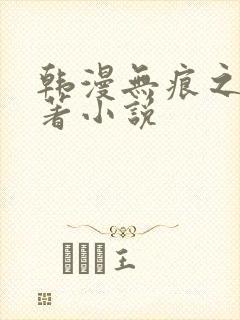 韩漫无痕之夜原著小说