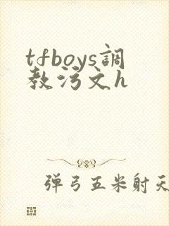 tfboys调教污文h