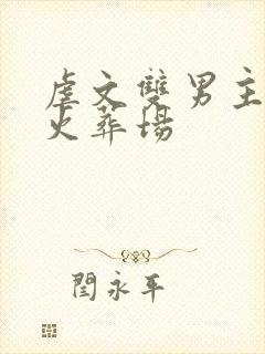 虐文双男主he火葬场