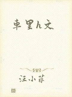 车里h文