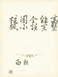 校园全能高手季枫小说完整版txt