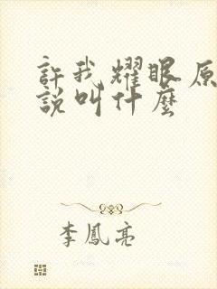 许我耀眼原著小说叫什么
