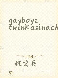 gayboyztwinkasinachinese
