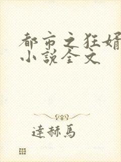 都市之狂婿战神小说全文