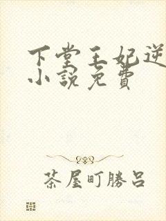 下堂王妃逆袭记小说免费