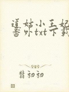 道姑小王妃附带番外txt下载