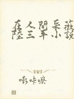 在人间采薇阿铭陆三平小说封面