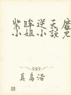 紫眸逆天废柴大小姐小说免费阅