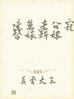 亿万老公宠上天替嫁新娘