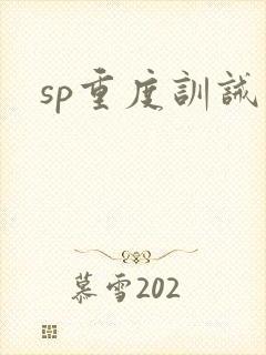 sp重度训诫文