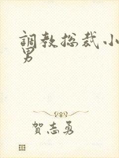 调教总裁小说男男