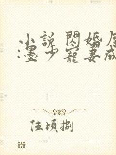 小说 闪婚厚爱:墨少宠妻成瘾封面