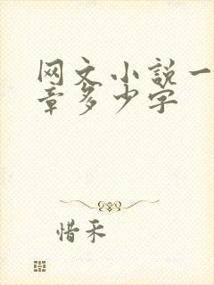 网文小说一般一章多少字