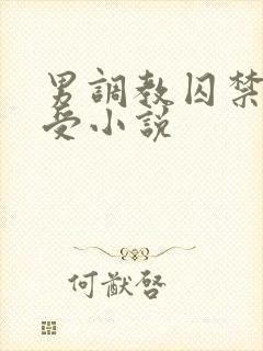 男调教囚禁双性受小说封面