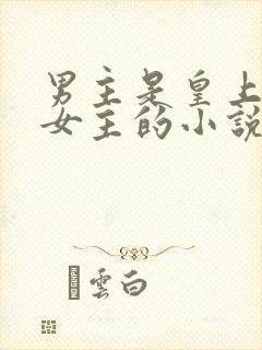 男主是皇上只爱女主的小说
