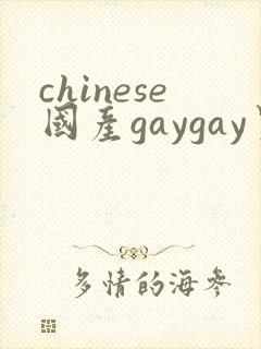 chinese国产gaygay男男网站