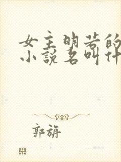 女主明若的穿越小说名叫什么封面
