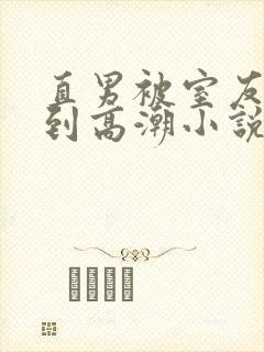 直男被室友调教到高潮小说