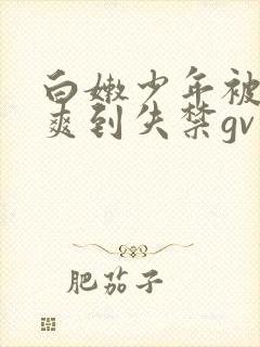 白嫩少年被调教爽到失禁gv小说